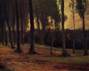 文森特 威廉 梵高 : 树林边